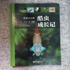 酷虫成长记