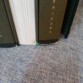 符号与仪式-贵州山地文明图典