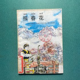 报春花（九年义务教育六年制小学语文自读课本）