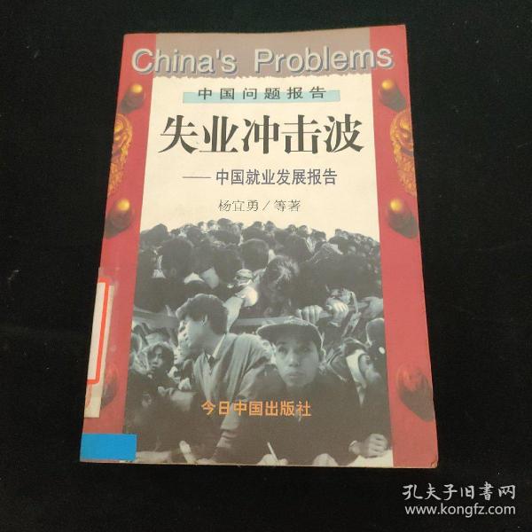 失业冲击波:中国就业发展报告