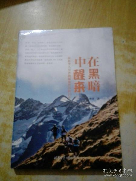 在黑暗中醒来：旅欧华人用奔跑探索世界的10年