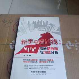 新手学看K线：精通蜡烛图与均线分析