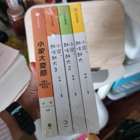 小家大变局+小家越住越大3册 逯薇作品集全4册  包邮