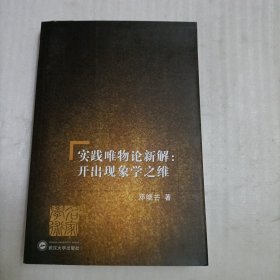 实践唯物论新解：开出现象学之维