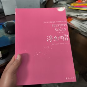 灵魂之旅Ⅱ：浮生归宿(非原版)