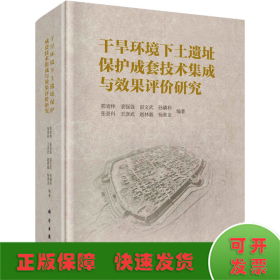 干旱环境下土遗址保护成套技术集成与效果评价研究