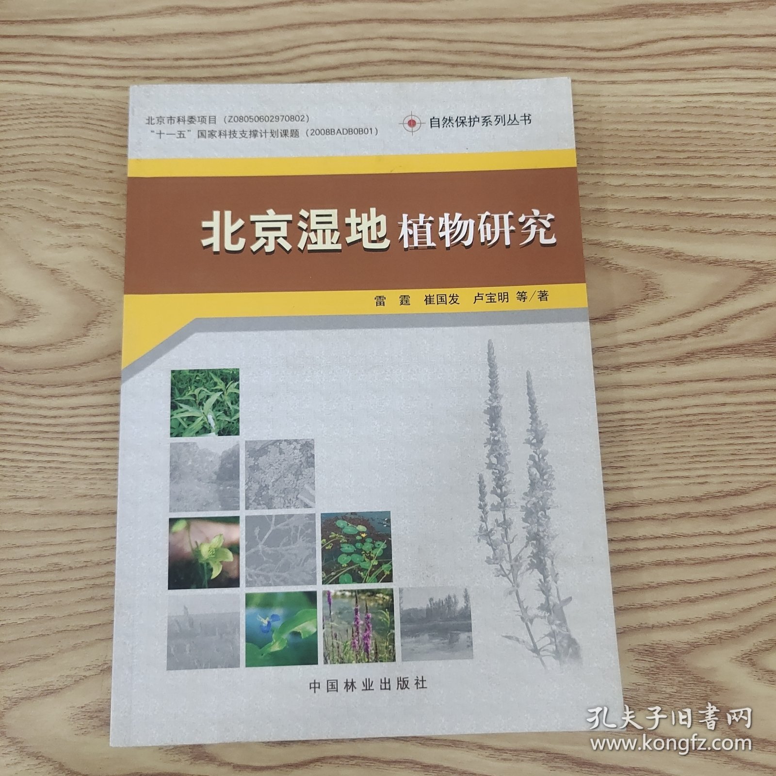 北京湿地植物研究