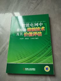 智能電網(wǎng)中蓄電池儲(chǔ)能技術(shù)及其價(jià)值評(píng)估