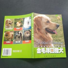 金毛寻回猎犬