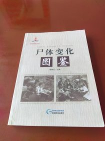 尸体变化图鉴