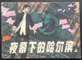 夜幕下的哈尔滨（库存书）