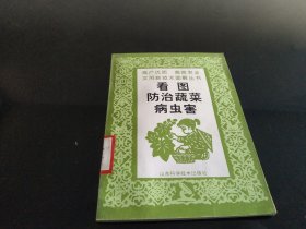 看图防治蔬菜病虫害