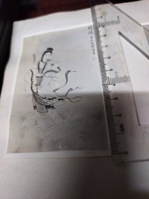 古典题材老照片一组7张