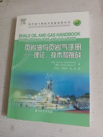 页岩油与页岩气手册——理论、技术和挑战