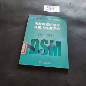 电力需求侧管理系列丛书：电蓄冷蓄热技术及技术经济评估