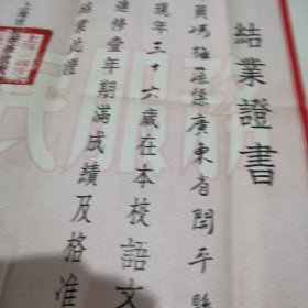 1955年上海教师进修学校结业证书，带美女照片带钢印，尺幅大保存完好。底色浅粉色，雅致养眼，别具一格。