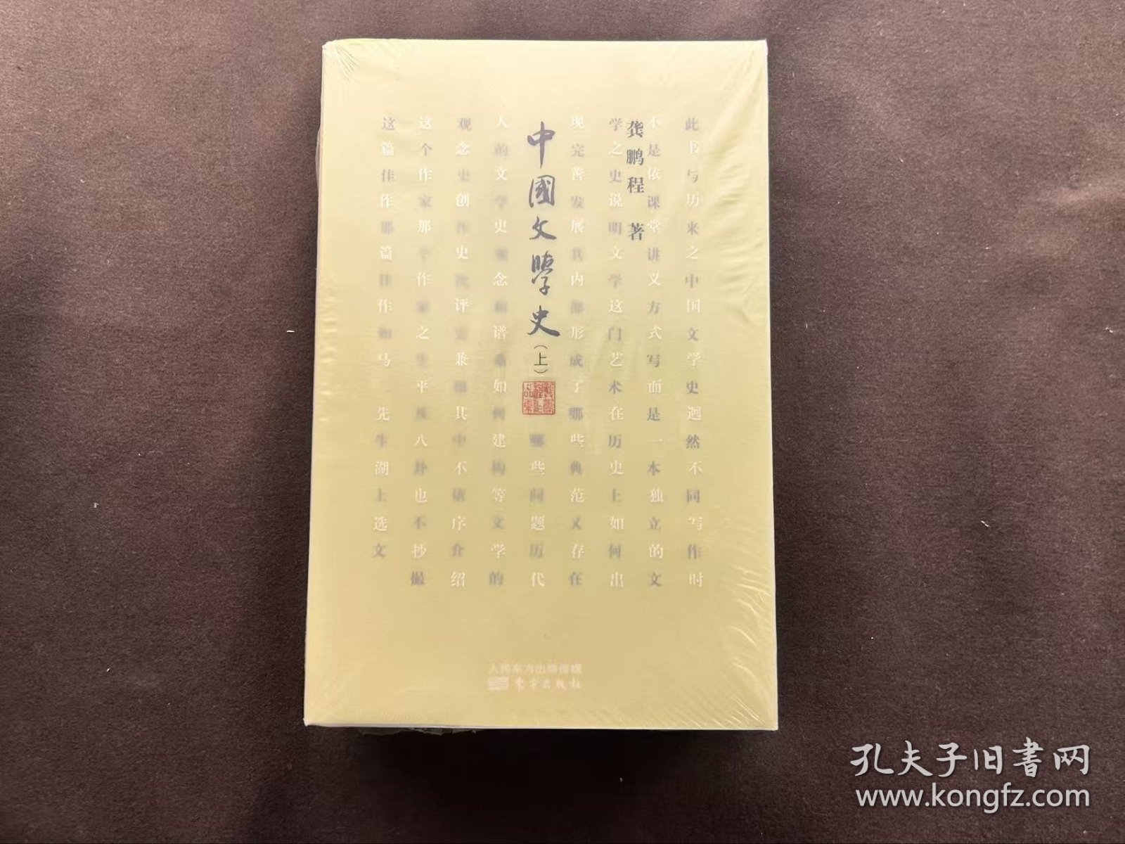 【个人收藏原封未拆正版无阅读】中国文学史