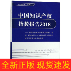 (2018)中国知识产权指数报告