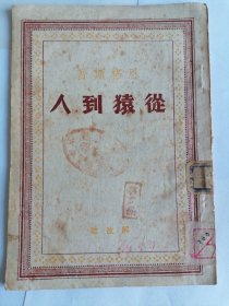 从猿到人 第一版