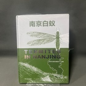 南京白蚁