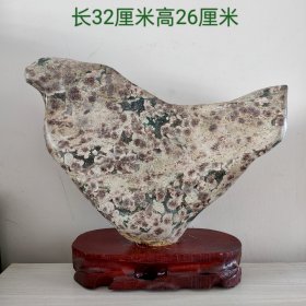 滦河菊花石摆件11477
