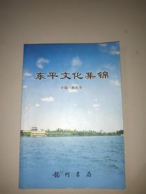 东平文化集锦