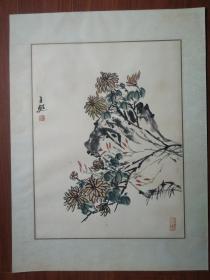 海上名画家王甦：菊 画45/35