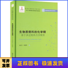 生物质燃料的化学？：基于多过程热力学模型（2020新能源基金）