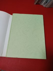 THE CONTINUITY OF AKIRA BY OTOMO KATSUHIRO（两本合售看图拍）