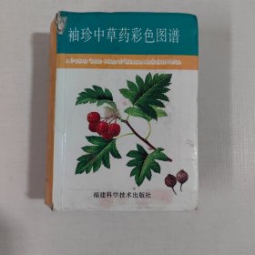 袖珍中草药彩色图谱