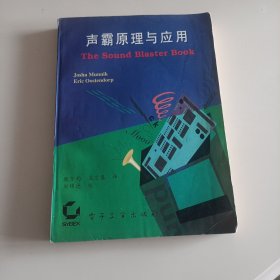 声霸原理与应用(平装未翻阅无破损无字迹)