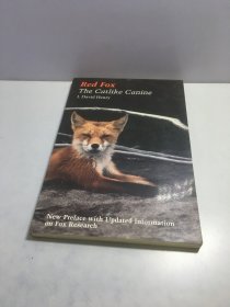 RED FOX THE CATLIKE CANINE