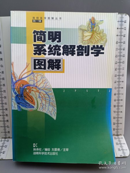 简明系统解剖学图解——简明医学图解丛书（第一辑）