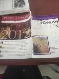 《中篇小说选刊》2011/5