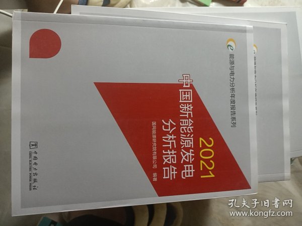 能源与电力分析年度报告系列2021中国新能源发电分析报告
