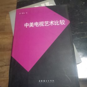 《中美电视艺术比较》