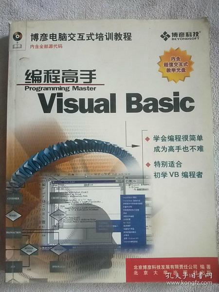 Visual Basic编程高手