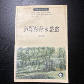 斜晖脉脉水悠悠
