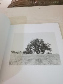 Robert Adams: Cottonwoods 罗伯特亚当斯: 白杨