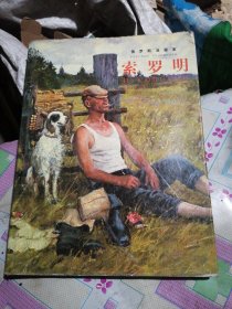 俄罗斯油画家索罗明