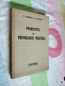 PRINCIPES DE PATHOLOGIE VEGETALE