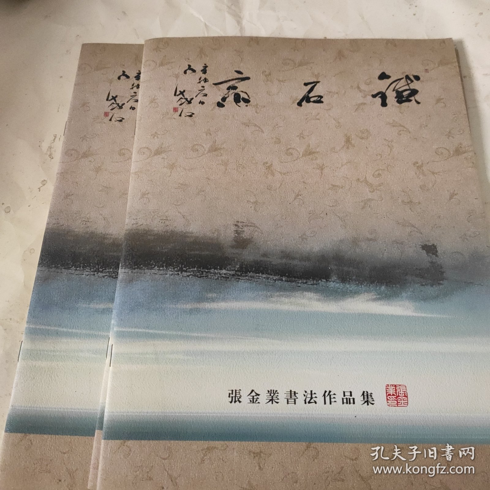 铁石斋 张金业书法作品集