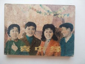 喜中缘