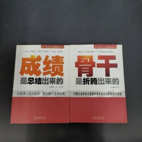 中国本土红色管理书系：骨干是折腾出来的、成绩是总结出来的 2本合售