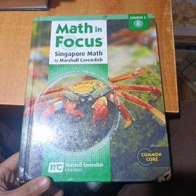 math in focus singapore math by marshall cavendish（品相如图）