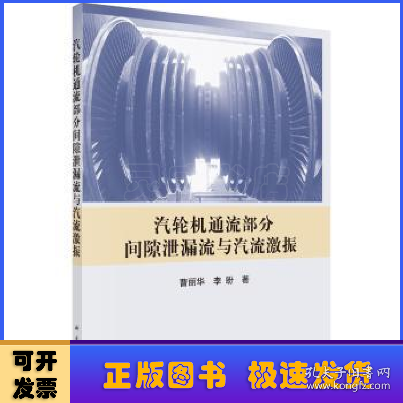 汽轮机通流部分间隙泄露流与汽流激振