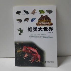 蛙类大世界