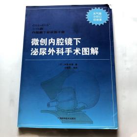 微创内腔镜下泌尿外科手术图解