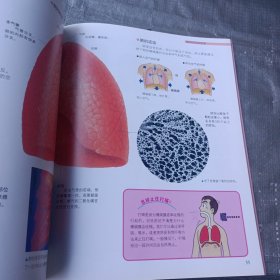 儿童百科图鉴：人体的奥秘