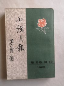 小说月报 第16卷 10—12